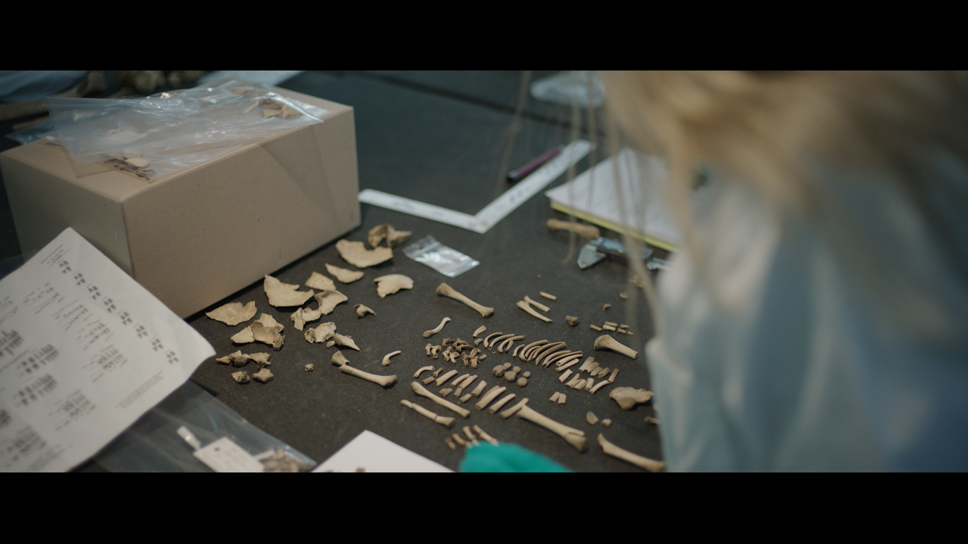 1389ce47-de7f-456c-97be-b8113d07265e_rw_1920